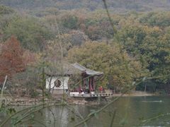-紫霞湖公园