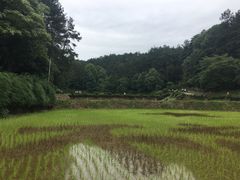 -韶山毛泽东同志故居