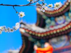 -颐和园