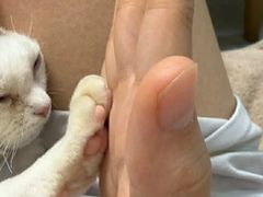 -山宅一喵德文卷毛猫舍