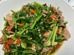香菜炒牛肉-壹盏灯(蚂蚁工房店)