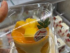 -喜莲娜动物奶油生日蛋糕(白云店)