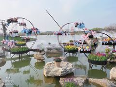 -荷兰花海