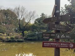 -秋霞圃