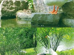 -台州府城(东湖)