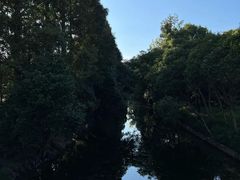 -上海滨江森林公园
