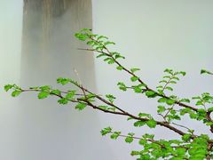 -国家植物园
