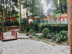 -二荆条·蜀鲜汇城市森林火锅