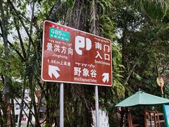 景区大门-野象谷景区