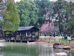 -宝岩生态观光园