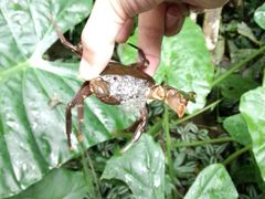 -呀诺达热带雨林