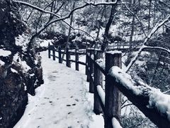 -塔云山