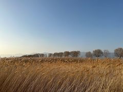 -野鸭湖国家湿地公园