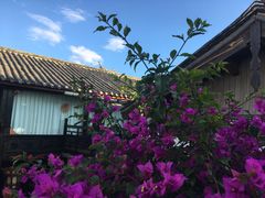 -浔岚云舍mist静谧观景美宿(丽江古城店)