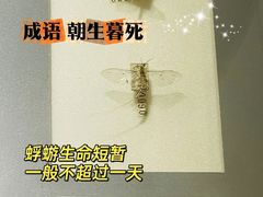 -上海昆虫博物馆