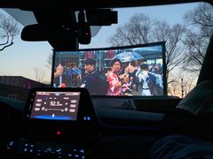 -枫花园汽车电影院(朝阳公园店)