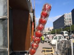 -和禄德冰糖葫芦