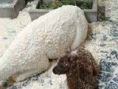 -上海大自然野生昆虫馆(东方明珠·爬宠昆虫探索中心)