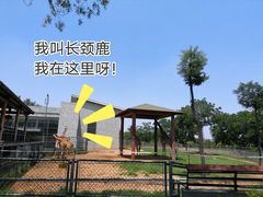 -石家庄市动物园