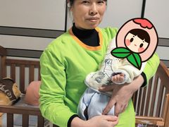 -小蝌蚪·寻·月嫂(普陀总部)