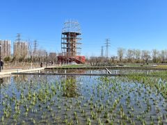 -永定河休闲森林公园