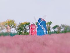-花博汇(知音花月夜)