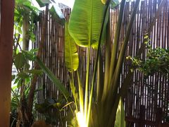 -泰堤坊(淡水体育馆店)