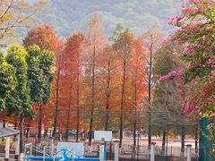 -广东外语外贸大学(白云山校区)