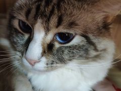 -白兔子密室(长寿路店)