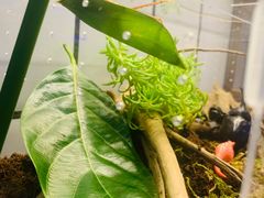 -Rabbit Cafe私房西餐甜点咖啡(栖霞路店)