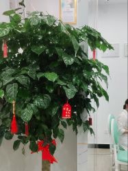 -SOR索尔祛痘·面部肌肤管理