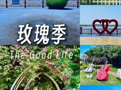 -鹅湖玫瑰文化园