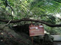 -七仙岭温泉国家森林公园
