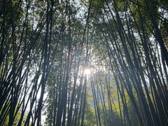 -英西峰林·洞天仙境