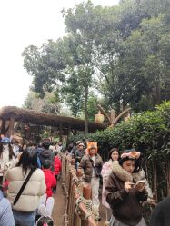 -翱翔飞越地平线