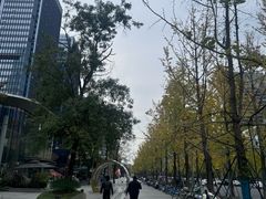 -合景·悠方(成都店)