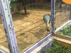 -无锡动物园·太湖欢乐园