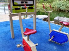 -大兴滨河森林公园