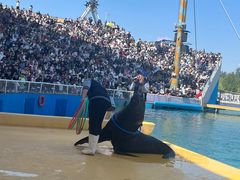 -秦皇岛乐岛海洋王国