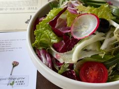 -THE PRESS(申报馆店)