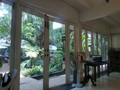 -Fern Forest Cafe