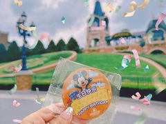 -上海迪士尼度假区