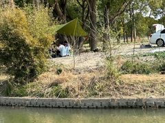 -上海海湾国家森林公园