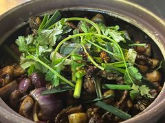 -胡须佬鸡煲四季火锅店(石厦西村直营店)