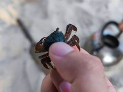 -北海金海湾红树林生态旅游区