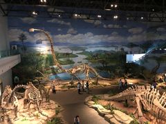 -自贡恐龙博物馆