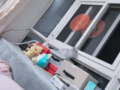 -糯米喵星人总部直营旗舰店·猫舍·幼猫出售