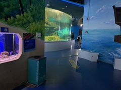 -沙沙哗啦海洋馆(华宇百花谷店)
