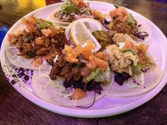 -Famous肥猫墨西哥音乐餐吧(五棵松华熙LIVE店)