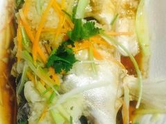 -渡海小渔村.老辈日照菜